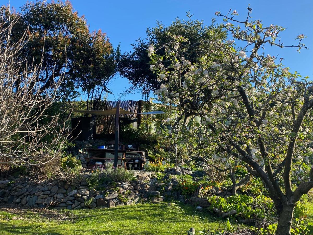 ホテル Omarama Oasis - Permaculture Glamping Pohara エクステリア 写真
