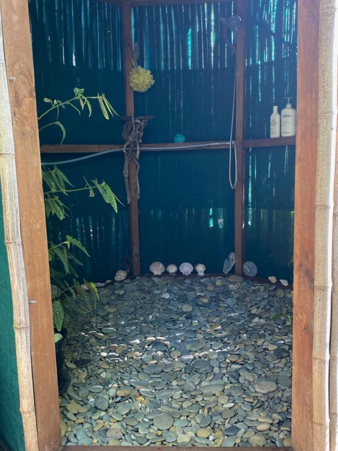 ホテル Omarama Oasis - Permaculture Glamping Pohara エクステリア 写真
