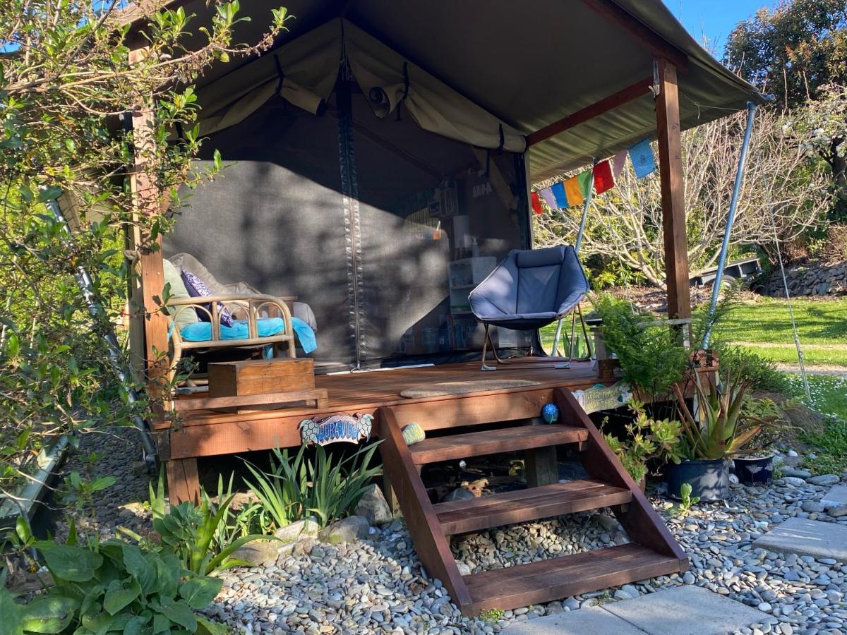 ホテル Omarama Oasis - Permaculture Glamping Pohara エクステリア 写真